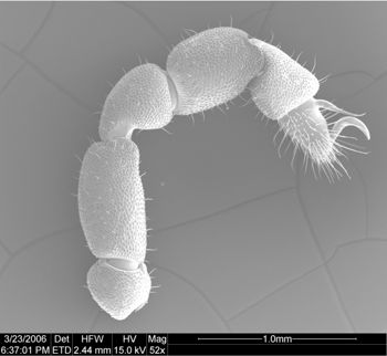 Media type: image;   Invertebrate Zoology 134693